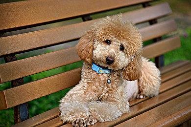 NS《闪轨1改、2改》中文版预告公布 即将上市